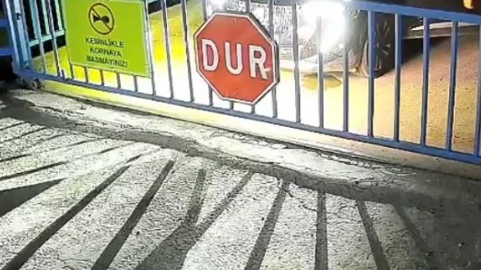Giresun'da köpeği ciple ezdi: Güvenlik kamerasına yansıdı